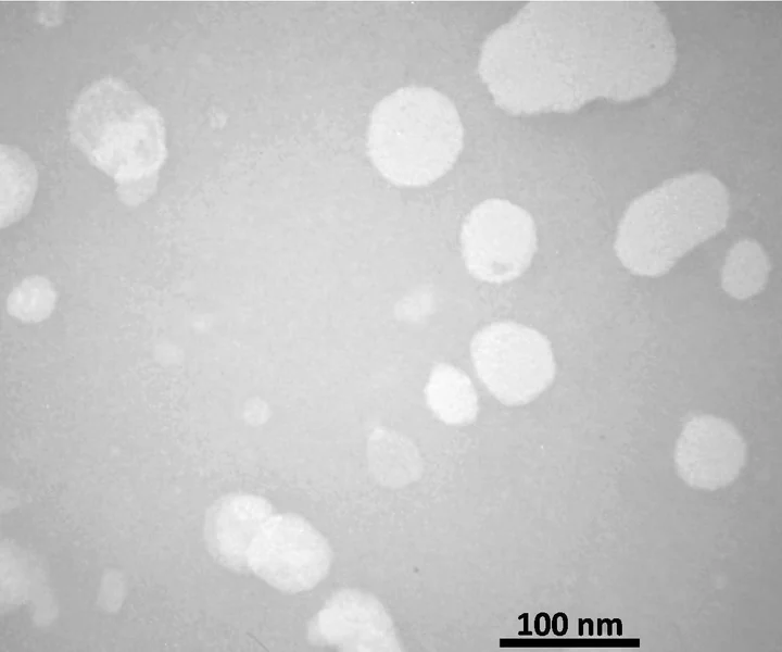 Electron micrograph of small, solid, evenly stained round droplets, with a scale bar.